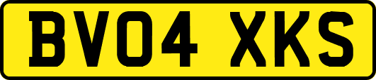 BV04XKS