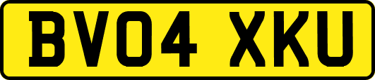 BV04XKU