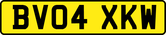 BV04XKW