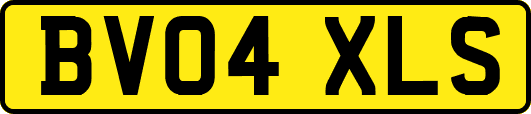 BV04XLS