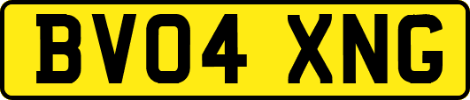 BV04XNG