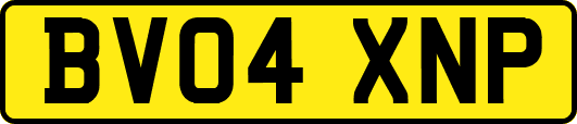 BV04XNP