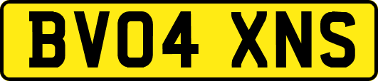 BV04XNS