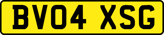 BV04XSG