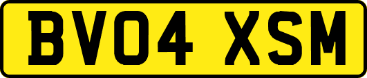 BV04XSM