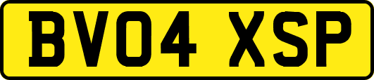 BV04XSP