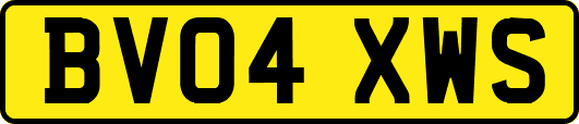 BV04XWS