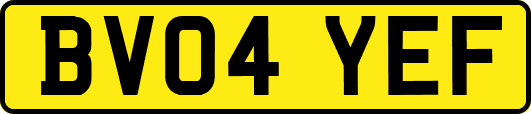 BV04YEF