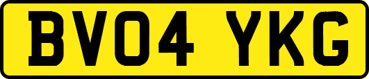 BV04YKG