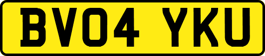 BV04YKU