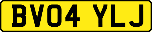 BV04YLJ