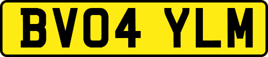 BV04YLM