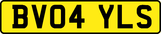 BV04YLS