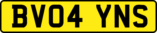 BV04YNS