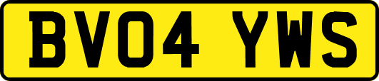 BV04YWS