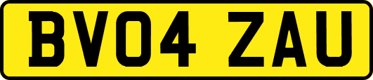 BV04ZAU