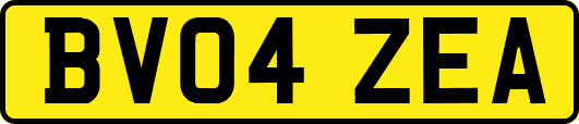 BV04ZEA