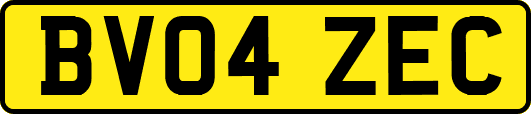 BV04ZEC