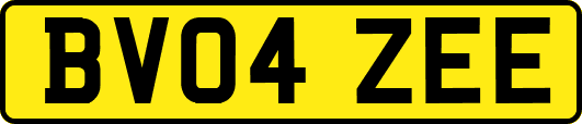 BV04ZEE