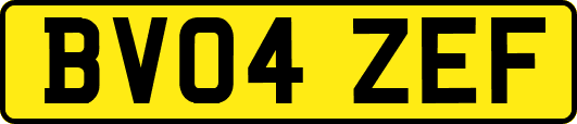 BV04ZEF