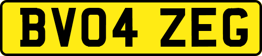 BV04ZEG