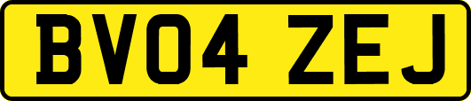 BV04ZEJ