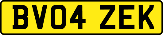 BV04ZEK