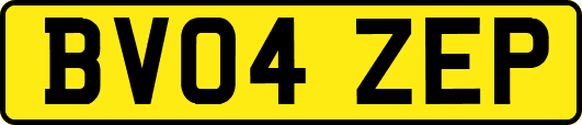 BV04ZEP