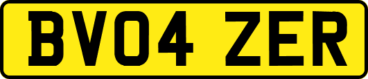BV04ZER