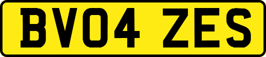 BV04ZES