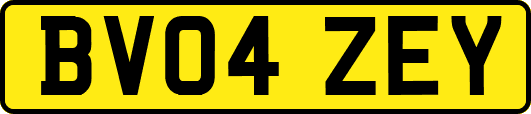 BV04ZEY