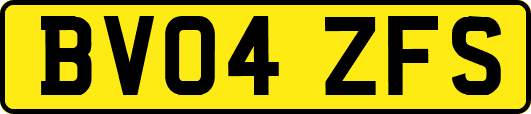 BV04ZFS