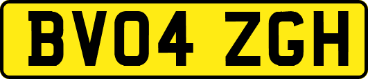 BV04ZGH