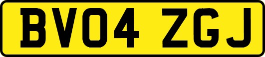 BV04ZGJ