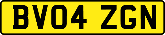BV04ZGN