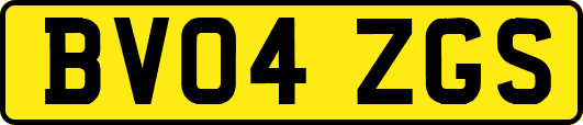 BV04ZGS