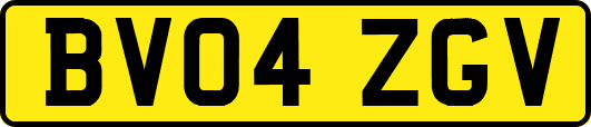 BV04ZGV
