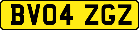 BV04ZGZ