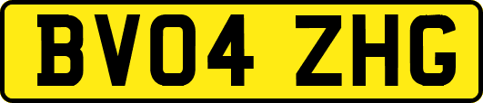 BV04ZHG