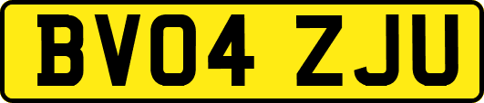 BV04ZJU