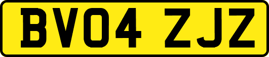 BV04ZJZ