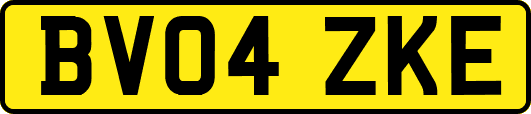 BV04ZKE