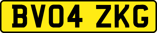 BV04ZKG