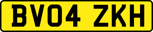 BV04ZKH