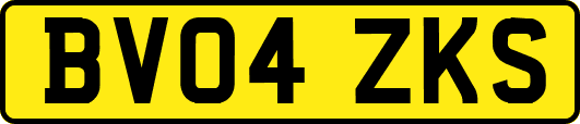 BV04ZKS
