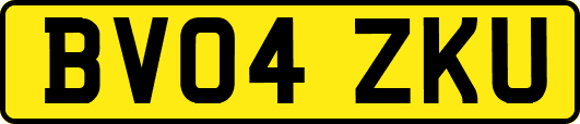 BV04ZKU