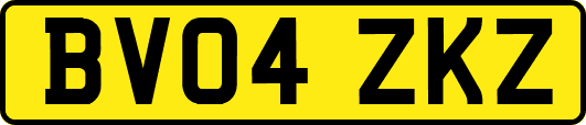 BV04ZKZ
