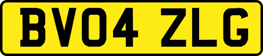 BV04ZLG