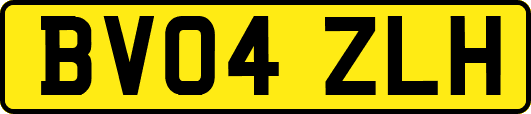 BV04ZLH