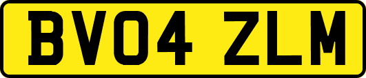 BV04ZLM